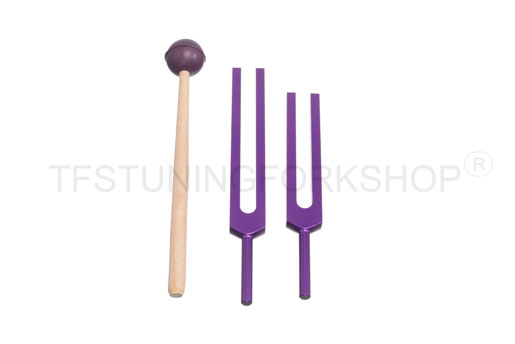 Purple Finish C &amp; G Whole Body Tuning Forks